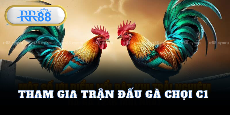 Tham Gia Trận Đấu Gà Chọi C1